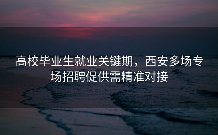高校毕业生就业关键期，西安多场专场招聘促供需精准对接