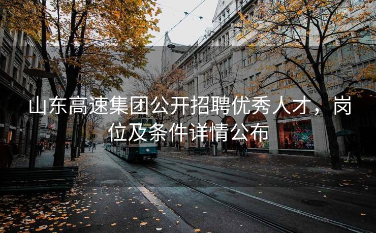 山东高速集团公开招聘优秀人才，岗位及条件详情公布