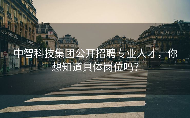中智科技集团公开招聘专业人才，你想知道具体岗位吗？