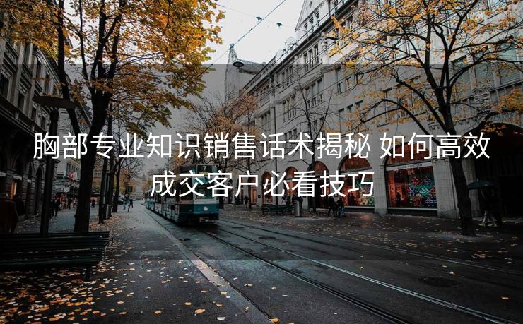 胸部专业知识销售话术揭秘 如何高效成交客户必看技巧