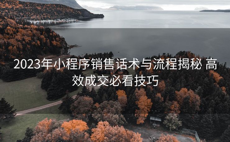 2023年小程序销售话术与流程揭秘 高效成交必看技巧 2023年小程序销售话术与流程揭秘 高效成交必看技巧