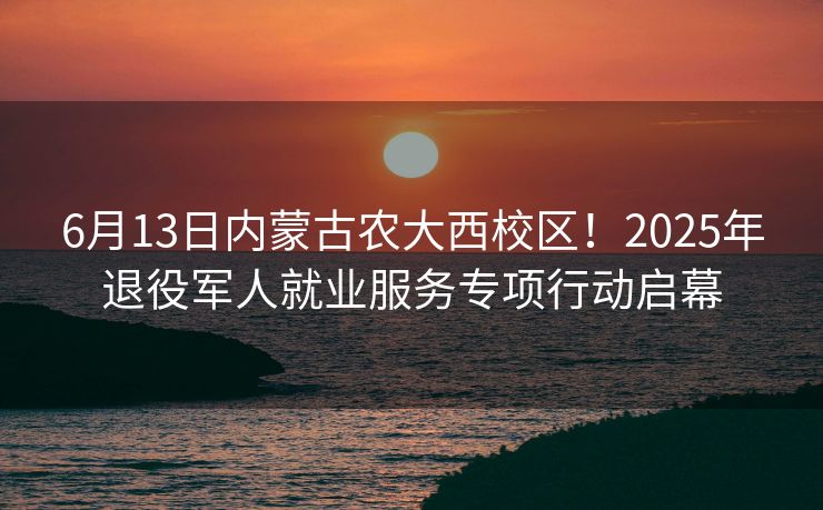 6月13日内蒙古农大西校区！2025年退役军人就业服务专项行动启幕