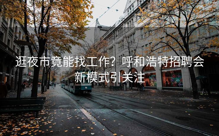 逛夜市竟能找工作？呼和浩特招聘会新模式引关注
