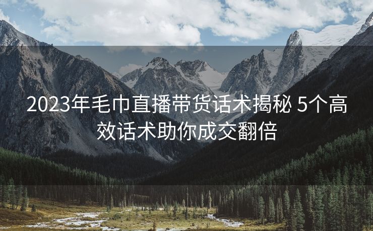 2023年毛巾直播带货话术揭秘 5个高效话术助你成交翻倍