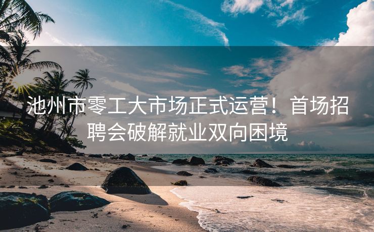 池州市零工大市场正式运营!首场招聘会破解就业双向困境 池州市零工大市场正式运营!首场招聘会破解就业双向困境