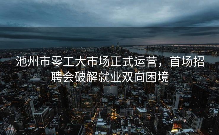 池州市零工大市场正式运营,首场招聘会破解就业双向困境 池州市零工大市场正式运营,首场招聘会破解就业双向困境