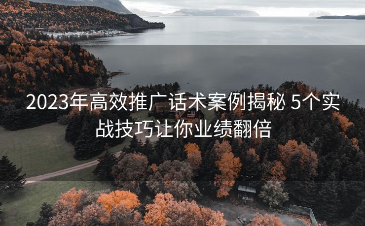 2023年高效推广话术案例揭秘 5个实战技巧让你业绩翻倍 2023年高效推广话术案例揭秘 5个实战技巧让你业绩翻倍