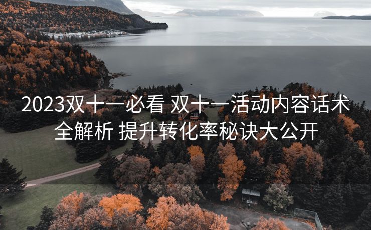 2023双十一必看 双十一活动内容话术全解析 提升转化率秘诀大公开 2023双十一必看 双十一活动内容话术全解析 提升转化率秘诀大公开
