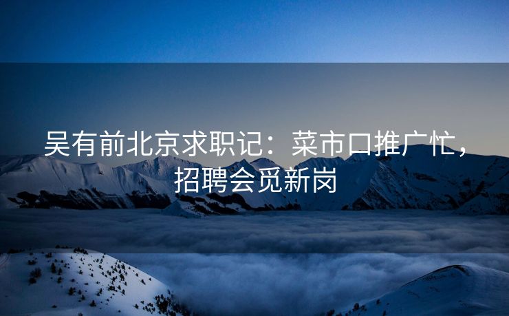 吴有前北京求职记:菜市口推广忙,招聘会觅新岗 吴有前北京求职记:菜市口推广忙,招聘会觅新岗