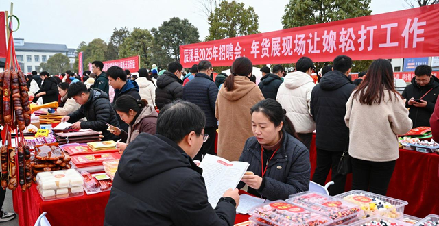 年货展销会现场招聘_招聘会_辰溪县2025年“春风行动”招聘会